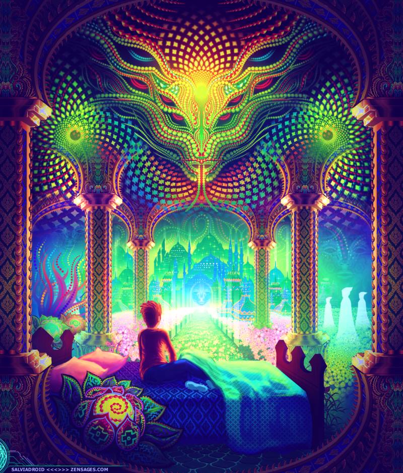 The journey in